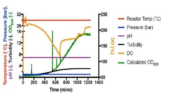 Figure 1 – Fermentation #4