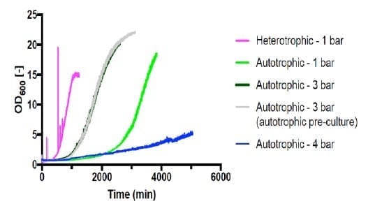 Figure 4 – Growth curve of C. necator H16 in gas fermentation and during heterotrophic growth