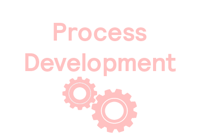 Process development in safety